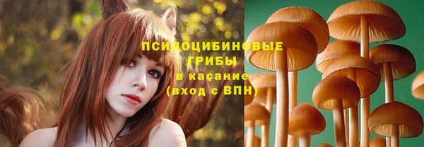 не бодяженный Аркадак