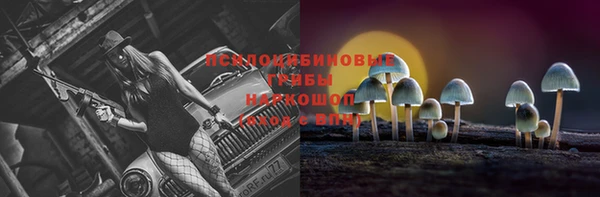 марки lsd Армянск