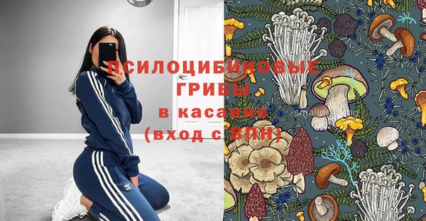не бодяженный Аркадак